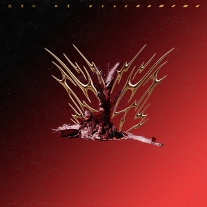 临沂螺杆空压机厂家用小鲤营销导航
