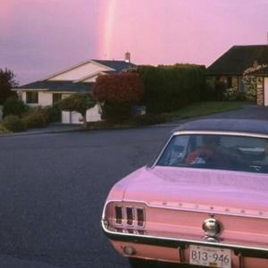 临沂螺杆空压机厂家用小鲤营销导航
