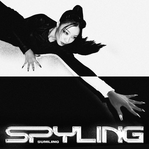 临沂螺杆空压机厂家用小鲤营销导航
